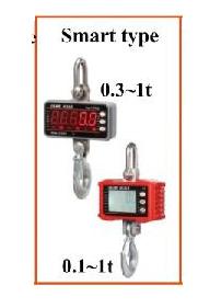 Crane Scale